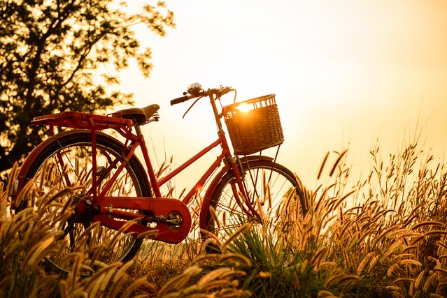 Beautiful landscape image with Bicycle at sunset