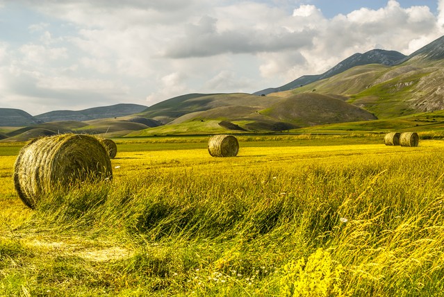 Castelluccio di Norcia (Perugia, Umbria, Italy) - Landscape in the Monti Sibillini Park at summer