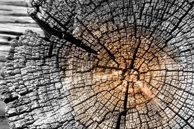 Old wooden cracked texture