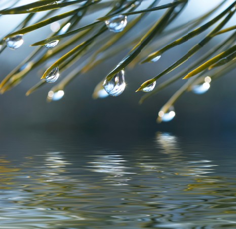 Water drops reflected in the water
