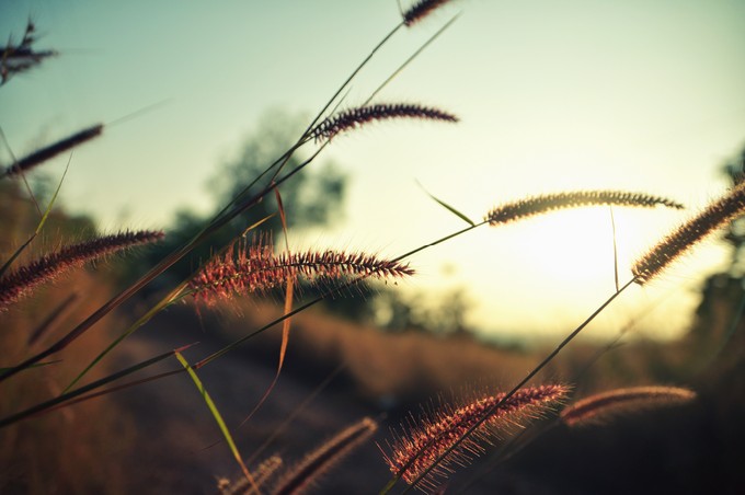 Nature at the best