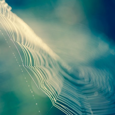 Soft blur natural background nature