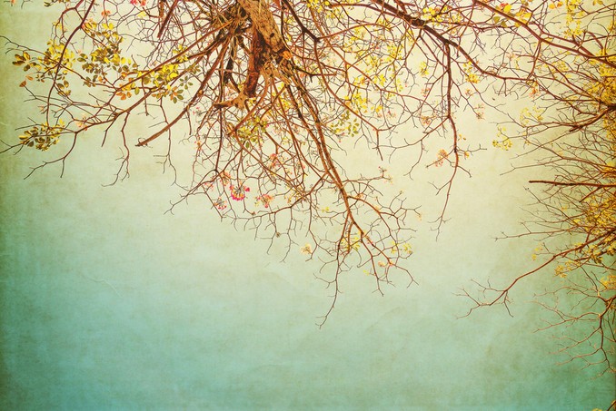Vintage tree flower in summer - paper art texture