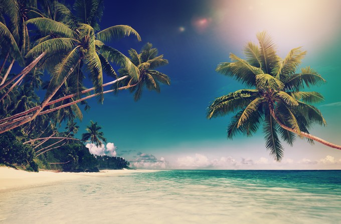 Tropical Paradise Beach Seascape